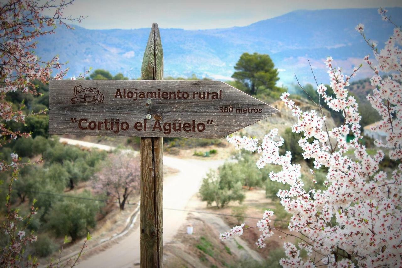 Alojamiento Rural El Agueelo Huelma Exterior photo